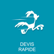 Devis rapide